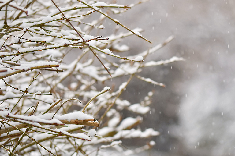 Осадки и морозы ждут белорусов с 16 по 22 февраля – прогноз по дням