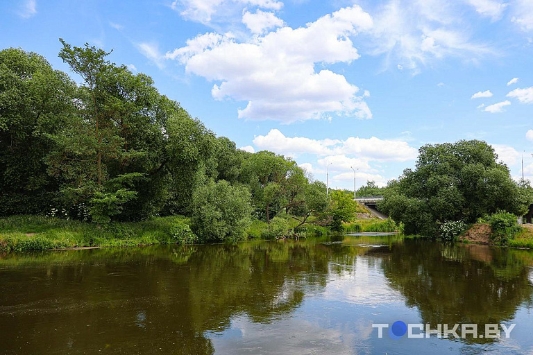 Узнали, какие водоемы Беларуси попали в стоп-лист для отдыхающих