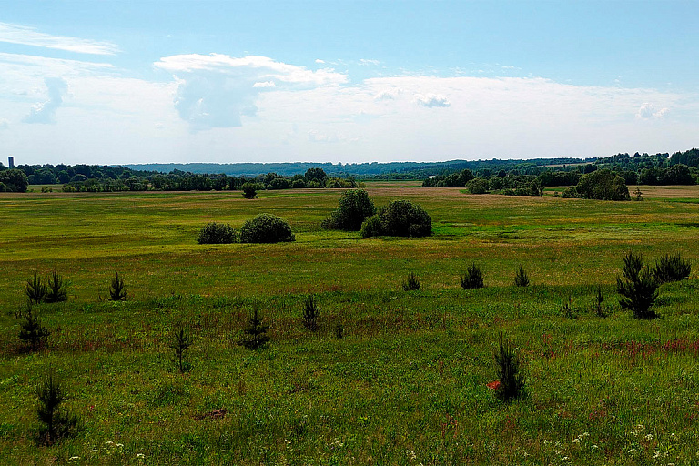 Стало известно, сколько стоит вся земля в Беларуси