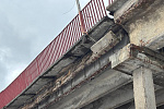 Фото: МЧС Беларуси