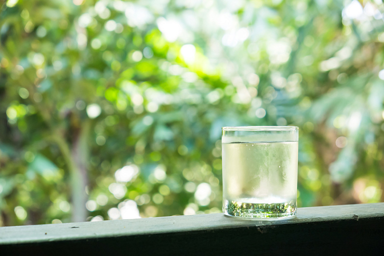 Внезапно: на белорусской бирже запустили торги березовым соком