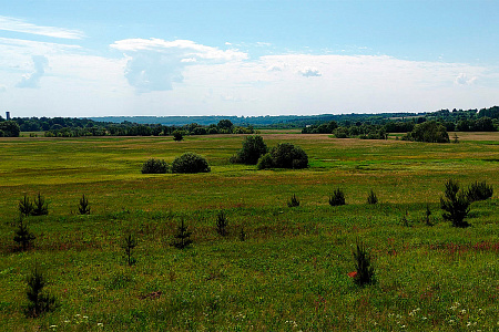 Лукашенко предложил способ, как превратить песчаные почвы в плодородные