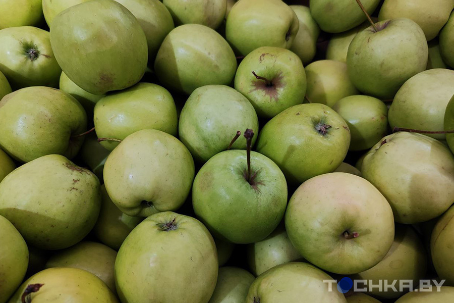 что удивило в белорусских