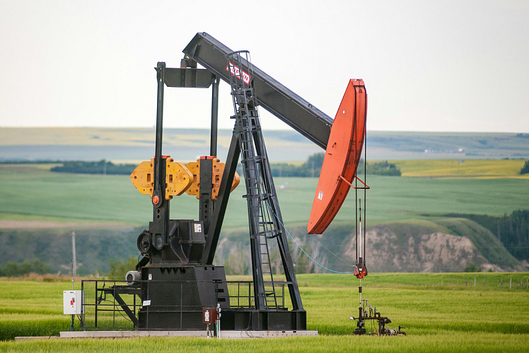 Разведать всю нефть Беларуси могут до 2035 года – как это возможно