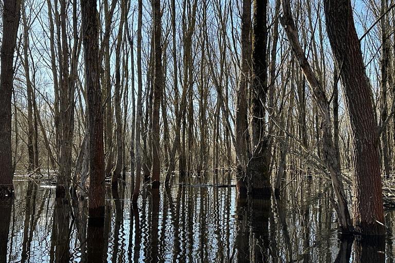 Белорусы могут пройтись по "морю Геродота": байдарки больше не нужны
