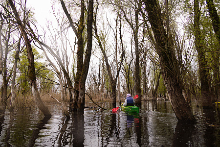 "Вода уходит каждый день": как мы плавали по морю Геродота этой весной