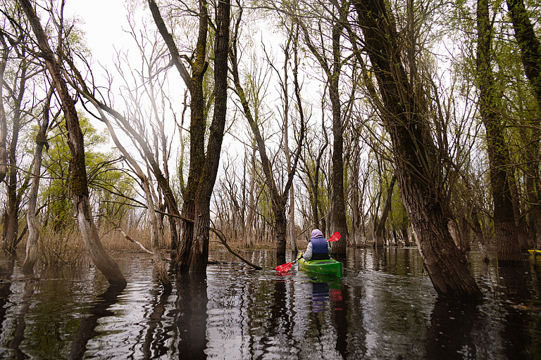 "Вода уходит каждый день": как мы плавали по морю Геродота этой весной