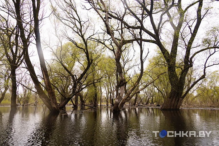 Фото: Павел Русак / Tochka.by