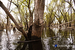 Фото: Павел Русак / Tochka.by