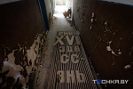 Фото: Павел Русак / Tochka.by