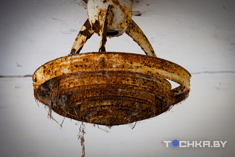 Фото: Павел Русак / Tochka.by