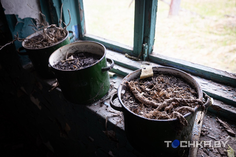 Фото: Павел Русак / Tochka.by