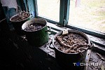 Фото: Павел Русак / Tochka.by