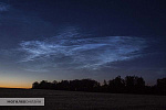 Фото: 
