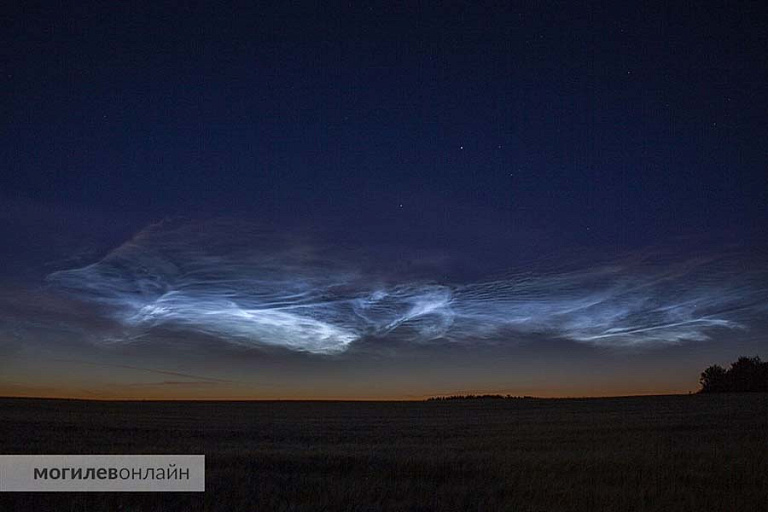 Фото: 