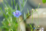 Фото: Павел Русак / Tochka.by